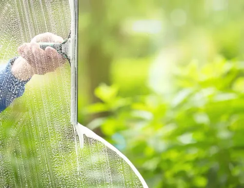 When to Clean Windows Around Atlanta's Pollen Season
